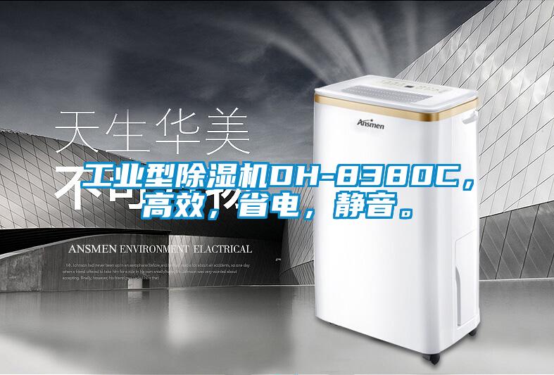 工業(yè)型除濕機DH-8380C，高效，省電，靜音。