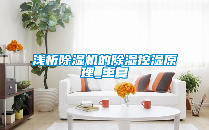 淺析除濕機的除濕控濕原理_重復