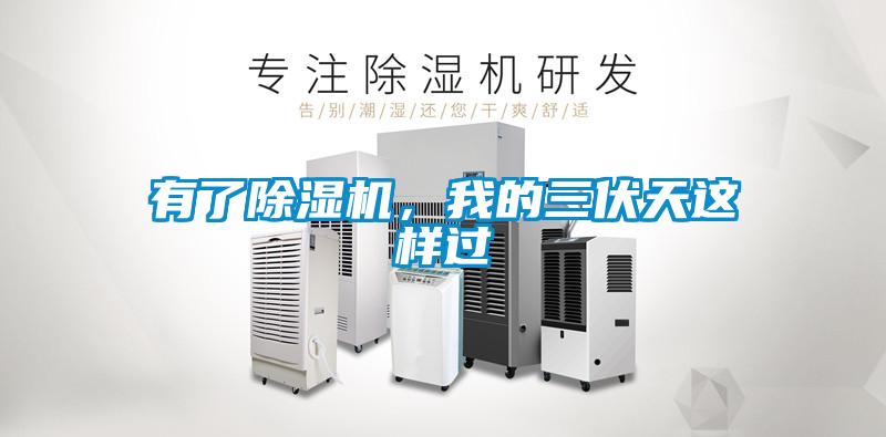 有了除濕機，我的三伏天這樣過