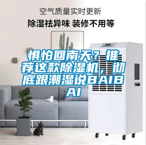 懼怕回南天？推薦這款除濕機，徹底跟潮濕說BAIBAI