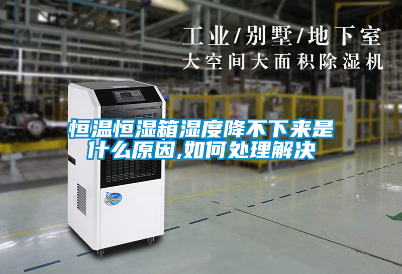 恒溫恒濕箱濕度降不下來(lái)是什么原因,如何處理解決