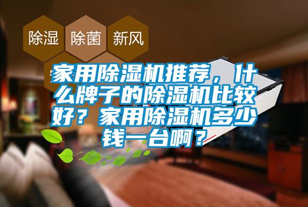 家用除濕機(jī)推薦，什么牌子的除濕機(jī)比較好？家用除濕機(jī)多少錢(qián)一臺(tái)啊？