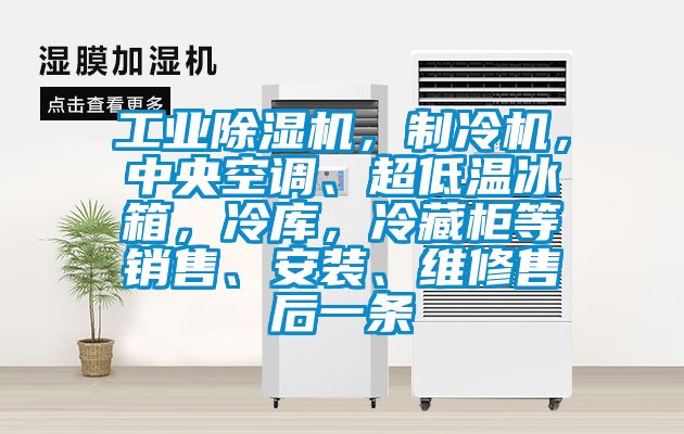 工業除濕機，制冷機，中央空調、超低溫冰箱，冷庫，冷藏柜等銷售、安裝、維修售后一條