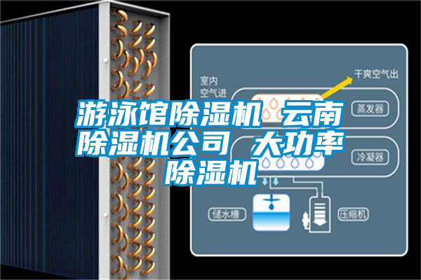 游泳館除濕機 云南除濕機公司 大功率除濕機