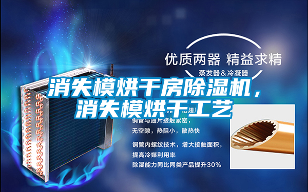 消失模烘干房除濕機(jī)，消失模烘干工藝