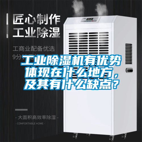 工業(yè)除濕機(jī)有優(yōu)勢體現(xiàn)在什么地方，及其有什么缺點(diǎn)？