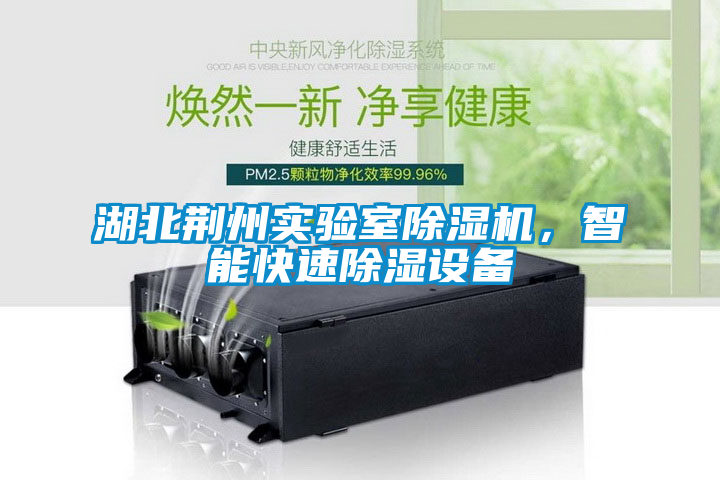 湖北荊州實驗室除濕機，智能快速除濕設備