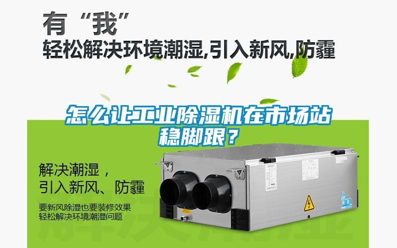 怎么讓工業除濕機在市場站穩腳跟？