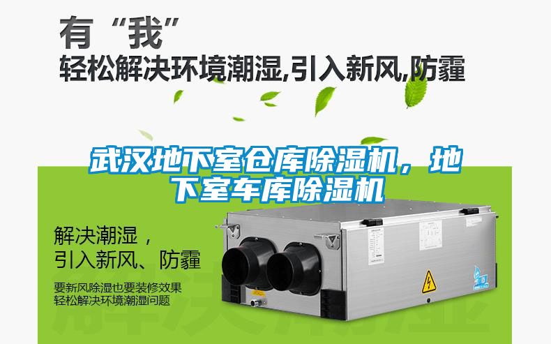 武漢地下室倉庫除濕機，地下室車庫除濕機