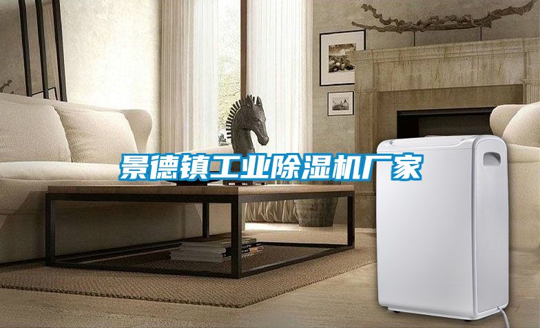 景德鎮工業除濕機廠家