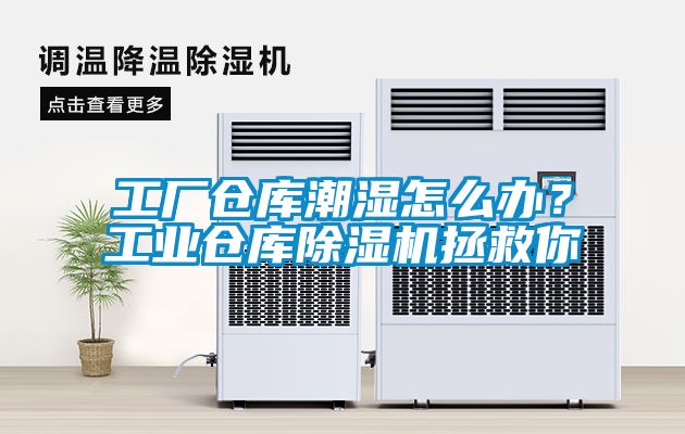 工廠倉庫潮濕怎么辦？工業(yè)倉庫除濕機(jī)拯救你