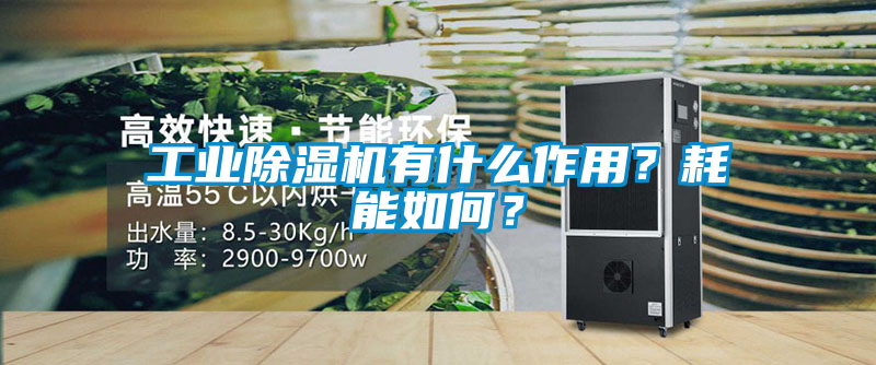 工業除濕機有什么作用？耗能如何？