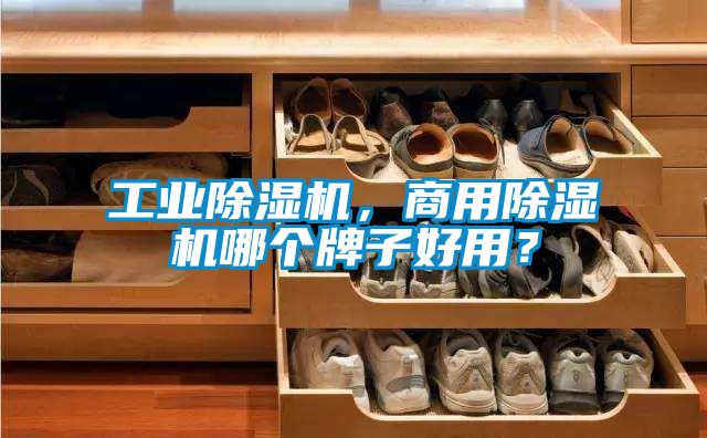 工業(yè)除濕機(jī)，商用除濕機(jī)哪個(gè)牌子好用？