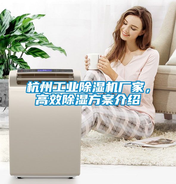 杭州工業(yè)除濕機(jī)廠(chǎng)家，高效除濕方案介紹
