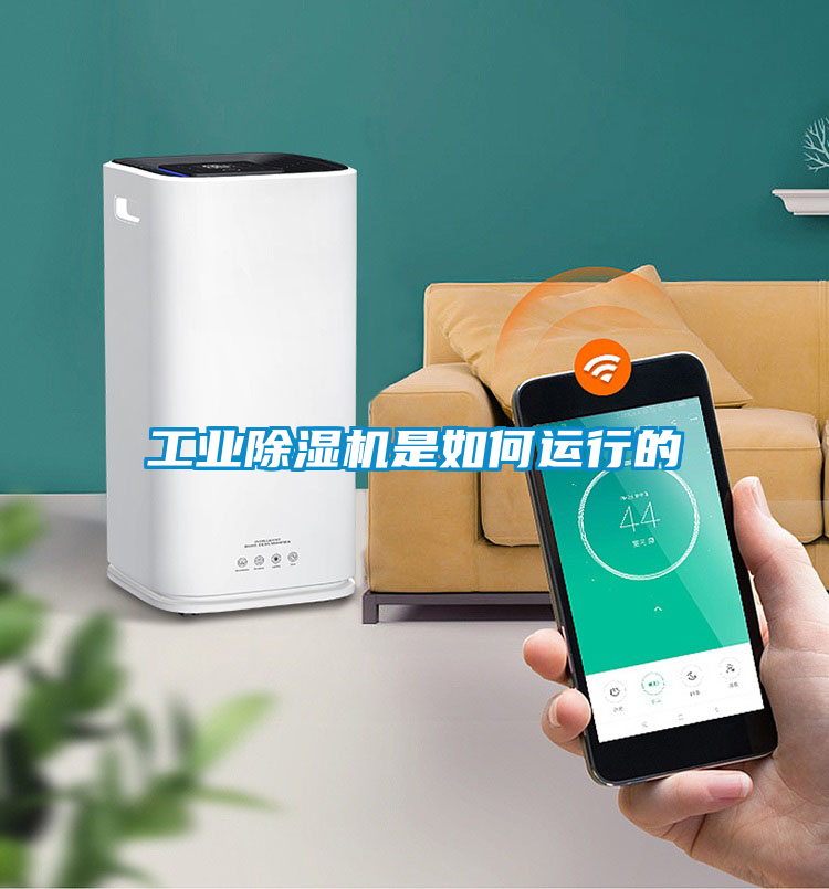 工業除濕機是如何運行的