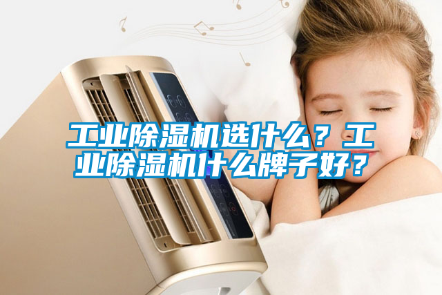 工業除濕機選什么？工業除濕機什么牌子好？