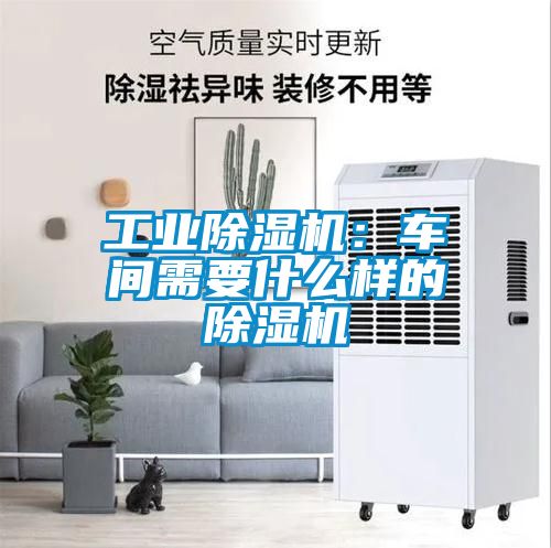 工業除濕機：車間需要什么樣的除濕機
