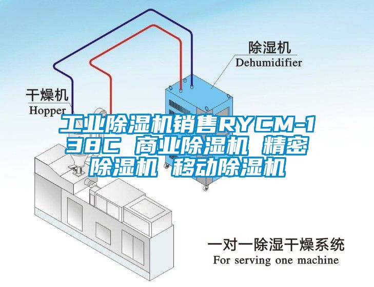 工業除濕機銷售RYCM-138C 商業除濕機 精密除濕機 移動除濕機