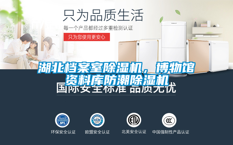 湖北檔案室除濕機，博物館資料庫防潮除濕機
