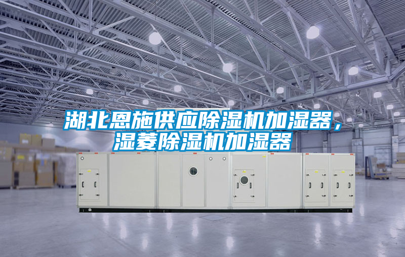 湖北恩施供應除濕機加濕器，濕菱除濕機加濕器
