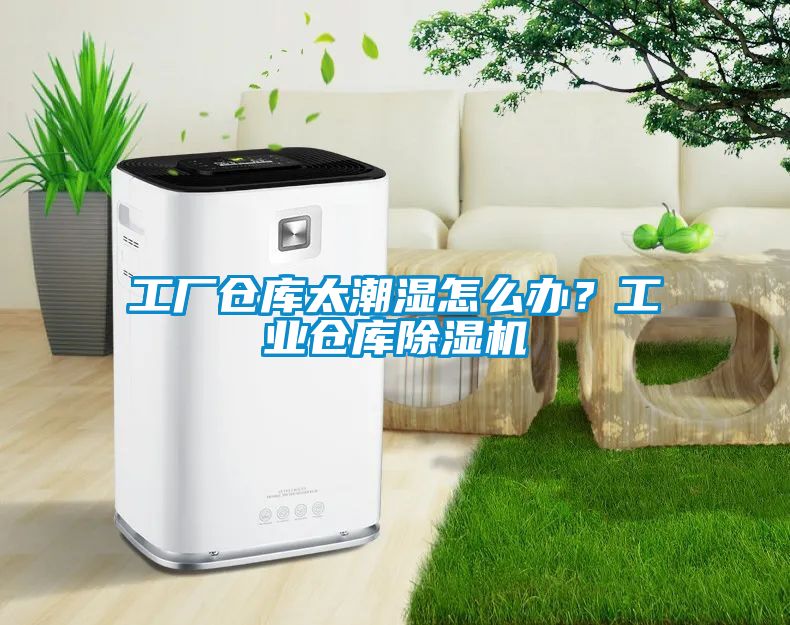 工廠倉庫太潮濕怎么辦？工業倉庫除濕機