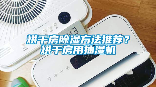 烘干房除濕方法推薦？烘干房用抽濕機