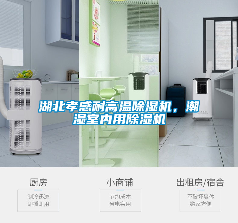 湖北孝感耐高溫除濕機，潮濕室內用除濕機