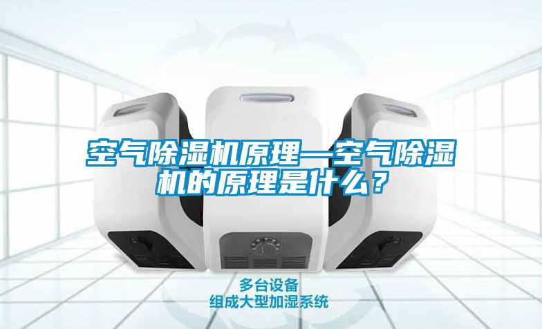 空氣除濕機(jī)原理—空氣除濕機(jī)的原理是什么？