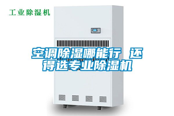 空調(diào)除濕哪能行 還得選專(zhuān)業(yè)除濕機(jī)