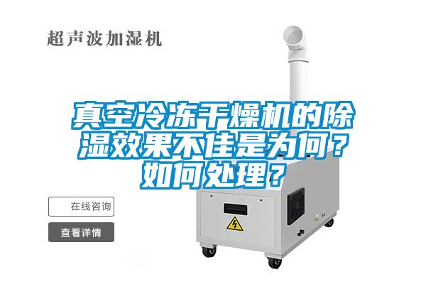 真空冷凍干燥機的除濕效果不佳是為何？如何處理？