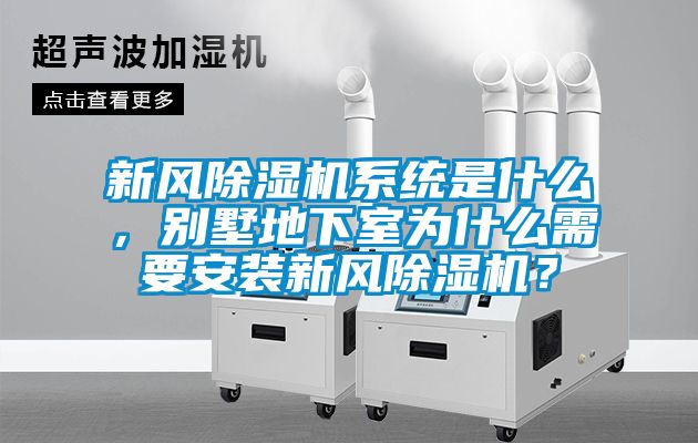 新風除濕機系統是什么，別墅地下室為什么需要安裝新風除濕機？