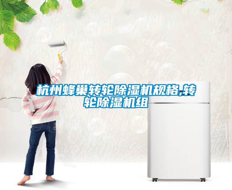 杭州蜂巢轉輪除濕機規格,轉輪除濕機組