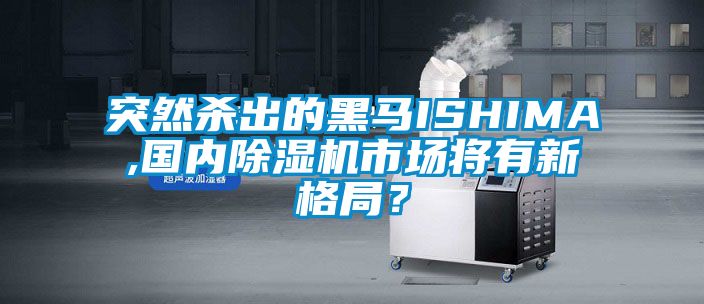 突然殺出的黑馬ISHIMA,國內除濕機市場將有新格局？