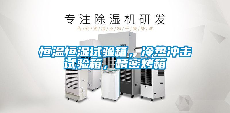 恒溫恒濕試驗箱，冷熱沖擊試驗箱，精密烤箱