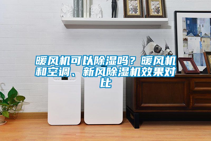 暖風(fēng)機(jī)可以除濕嗎？暖風(fēng)機(jī)和空調(diào)、新風(fēng)除濕機(jī)效果對比