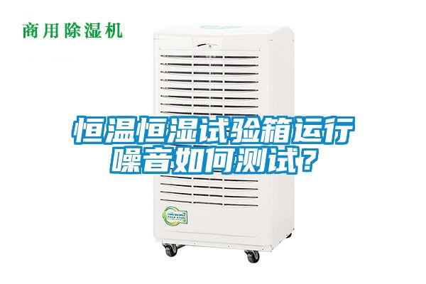 恒溫恒濕試驗箱運行噪音如何測試？