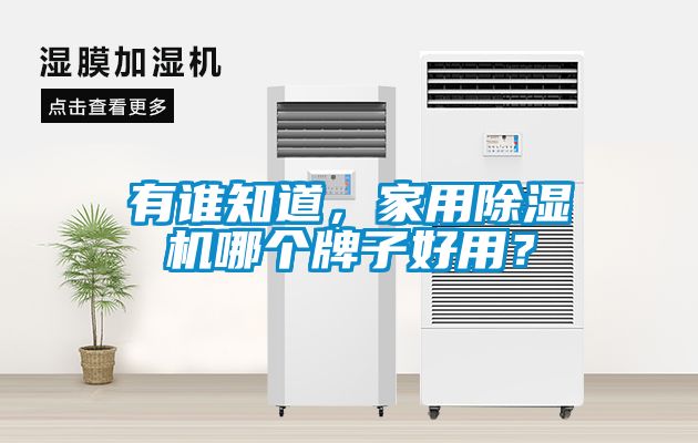 有誰知道，家用除濕機哪個牌子好用？