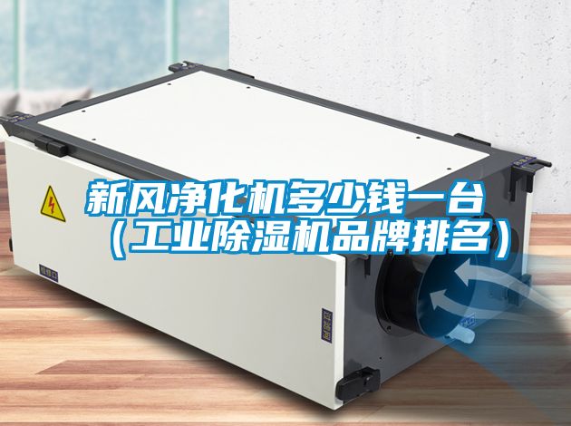 新風凈化機多少錢一臺（工業除濕機品牌排名）