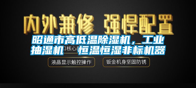 昭通市高低溫除濕機，工業(yè)抽濕機  恒溫恒濕非標機器