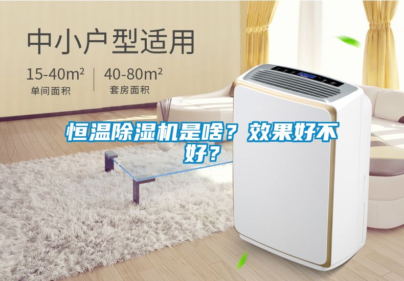 恒溫除濕機(jī)是啥？效果好不好？