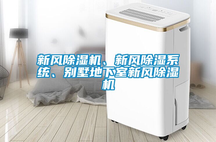 新風(fēng)除濕機(jī)、新風(fēng)除濕系統(tǒng)、別墅地下室新風(fēng)除濕機(jī)