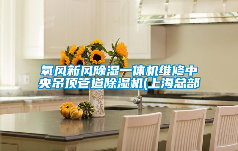 氧風新風除濕一體機維修中央吊頂管道除濕機(上?？偛?/></p>
<p style=