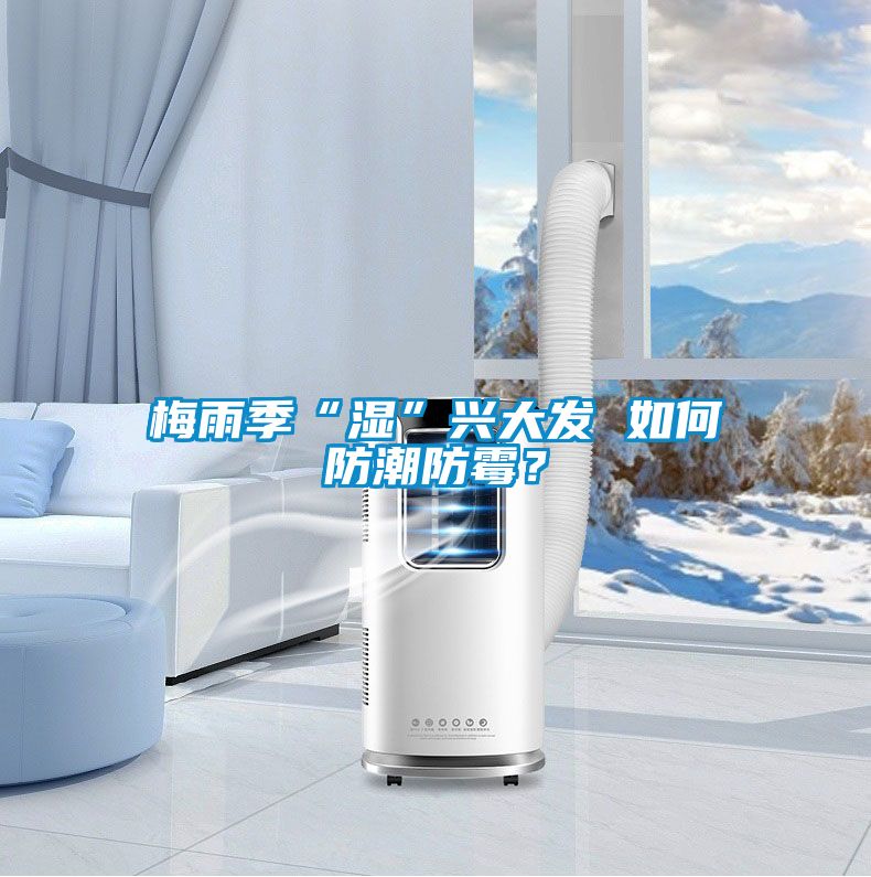 梅雨季“濕”興大發 如何防潮防霉？