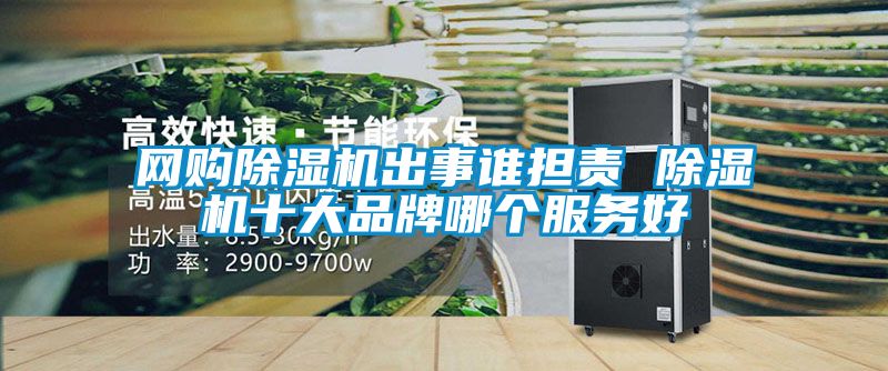 網(wǎng)購除濕機(jī)出事誰擔(dān)責(zé) 除濕機(jī)十大品牌哪個服務(wù)好