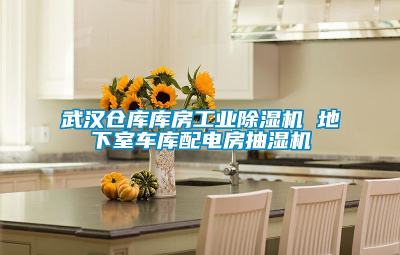 武漢倉(cāng)庫(kù)庫(kù)房工業(yè)除濕機(jī) 地下室車(chē)庫(kù)配電房抽濕機(jī)