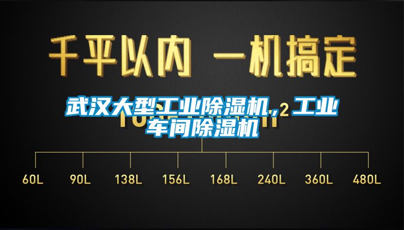 武漢大型工業除濕機，工業車間除濕機