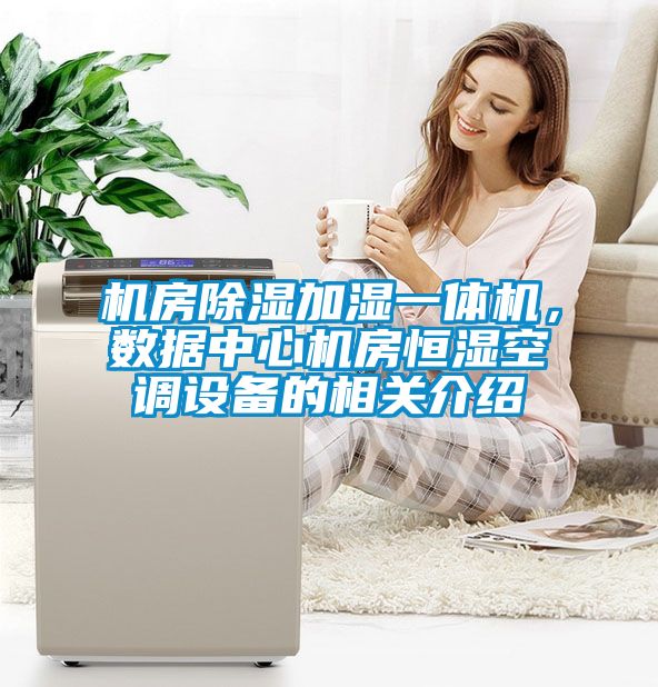 機(jī)房除濕加濕一體機(jī)，數(shù)據(jù)中心機(jī)房恒濕空調(diào)設(shè)備的相關(guān)介紹
