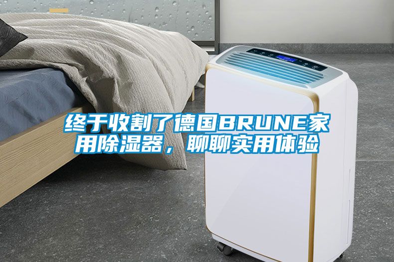 終于收割了德國(guó)BRUNE家用除濕器，聊聊實(shí)用體驗(yàn)