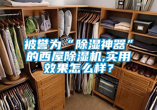 被譽為“除濕神器”的西屋除濕機,實用效果怎么樣？