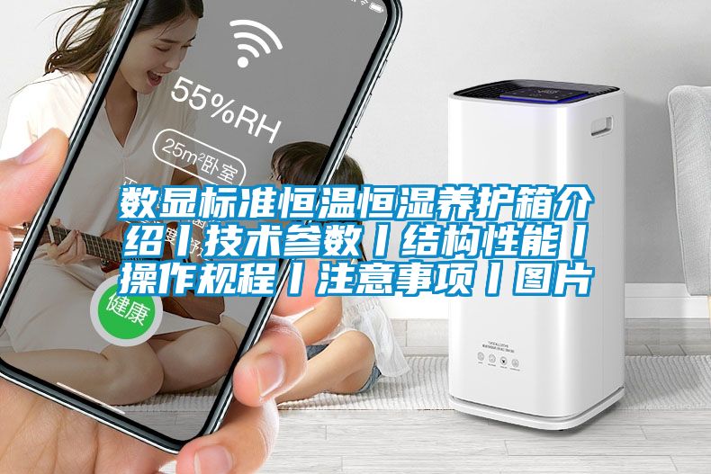 數(shù)顯標準恒溫恒濕養(yǎng)護箱介紹丨技術參數(shù)丨結構性能丨操作規(guī)程丨注意事項丨圖片